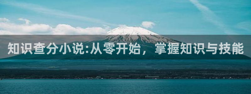 将军好凶猛纵横中文网中文：知识查分小说:从零开始，掌握知识与技能