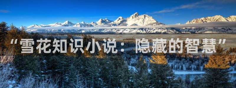 剑来 纵横中文网中文网：“雪花知识小说：隐藏的智慧”