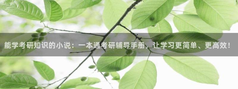 过河卒纵横中文网中文网：能学考研知识的小说：一本通考研辅导手册，让学习更简单、更高效！